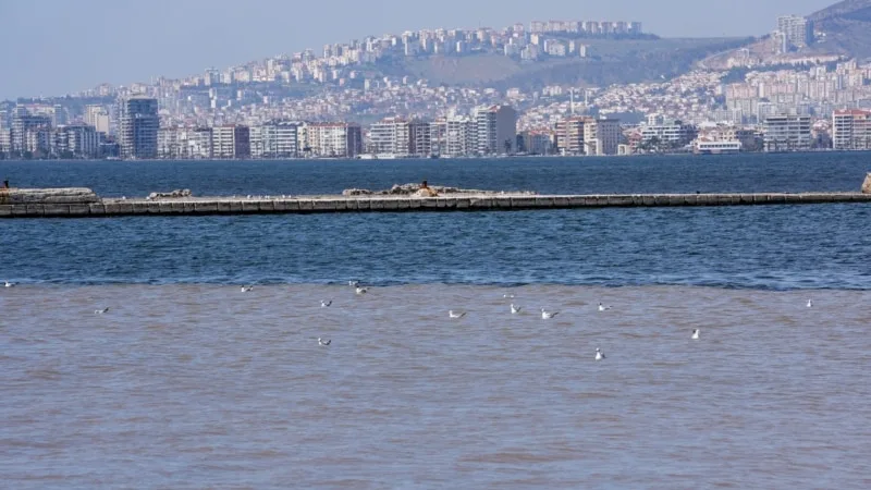 Hava sıcaklığı yükseldi, İzmir Körfezi’nde kirlilik arttı