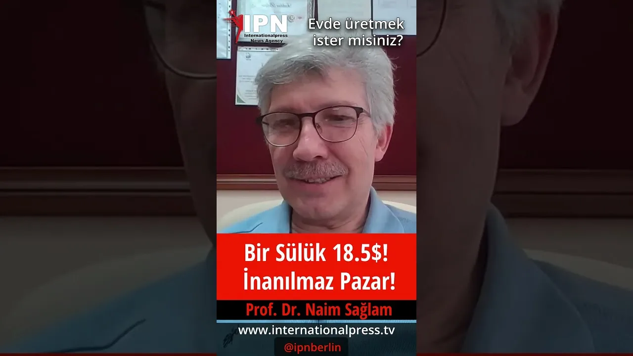 Bir Sülük 18.5$! İnanılmaz Pazar!