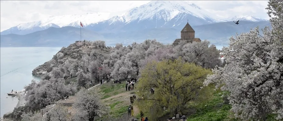 3. Akdamar Adası Badem Çiçeği Festivali sürüyor