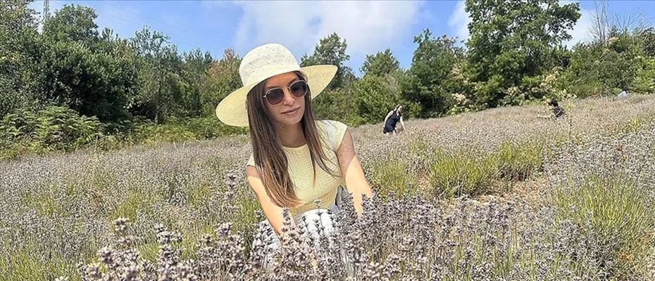 Kastamonu’da turizmcinin atıl tarlasına kurduğu lavanta bahçesinde hasat şöleni yapıldı