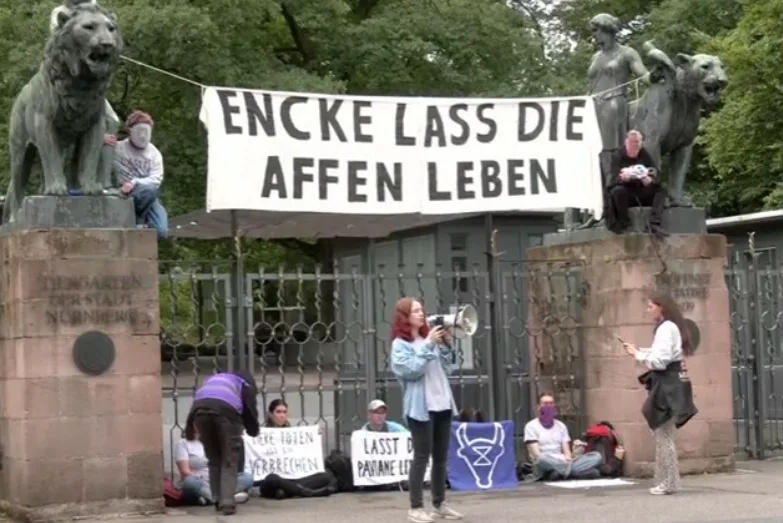 Nürnberg hayvanat bahçesi önünde şebeklerin öldürülmesine karşı protesto