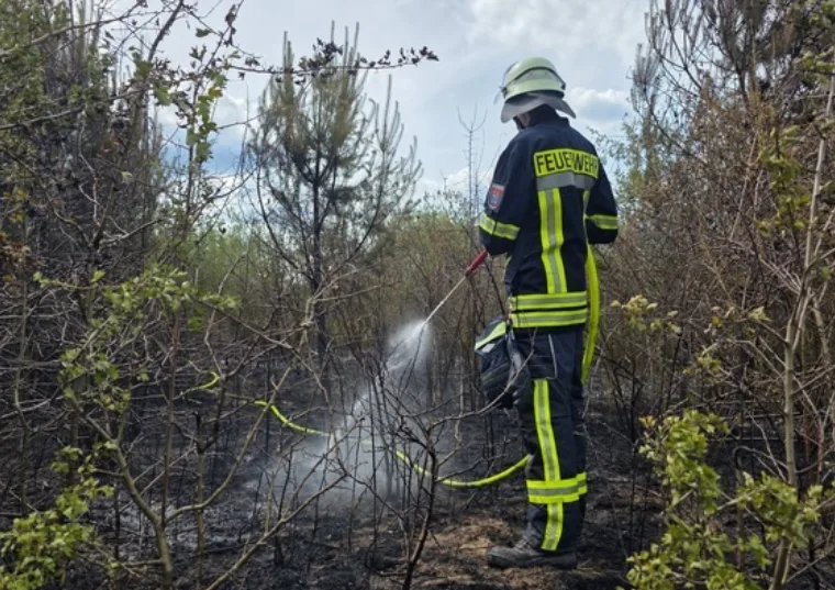 Almanya’nın Celle kenti Altenceller Feld bölgesinde yangın