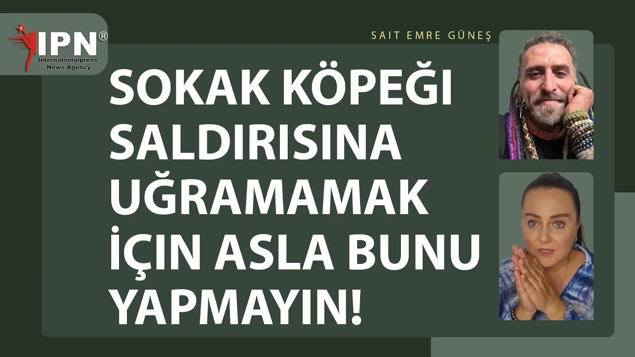 Dikkat! Bir sokak köpeğinin yanından geçerken asla bunu yapma!