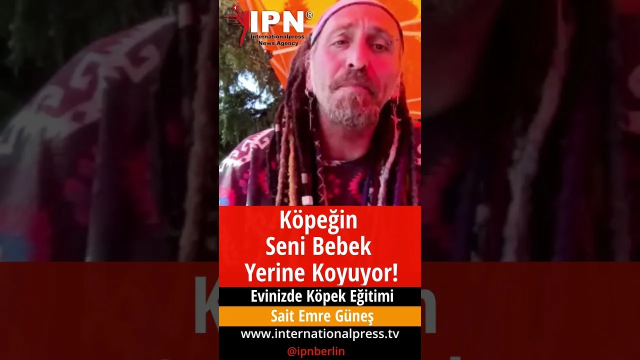 Köpeğin Seni Bebek Yerine Koyuyor!