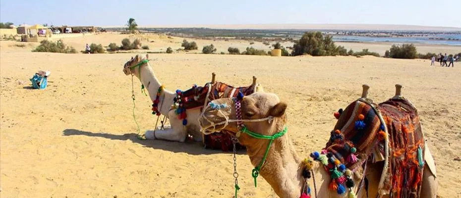 Mısır, yılın ilk dokuz ayında 15 milyon turist ağırladı