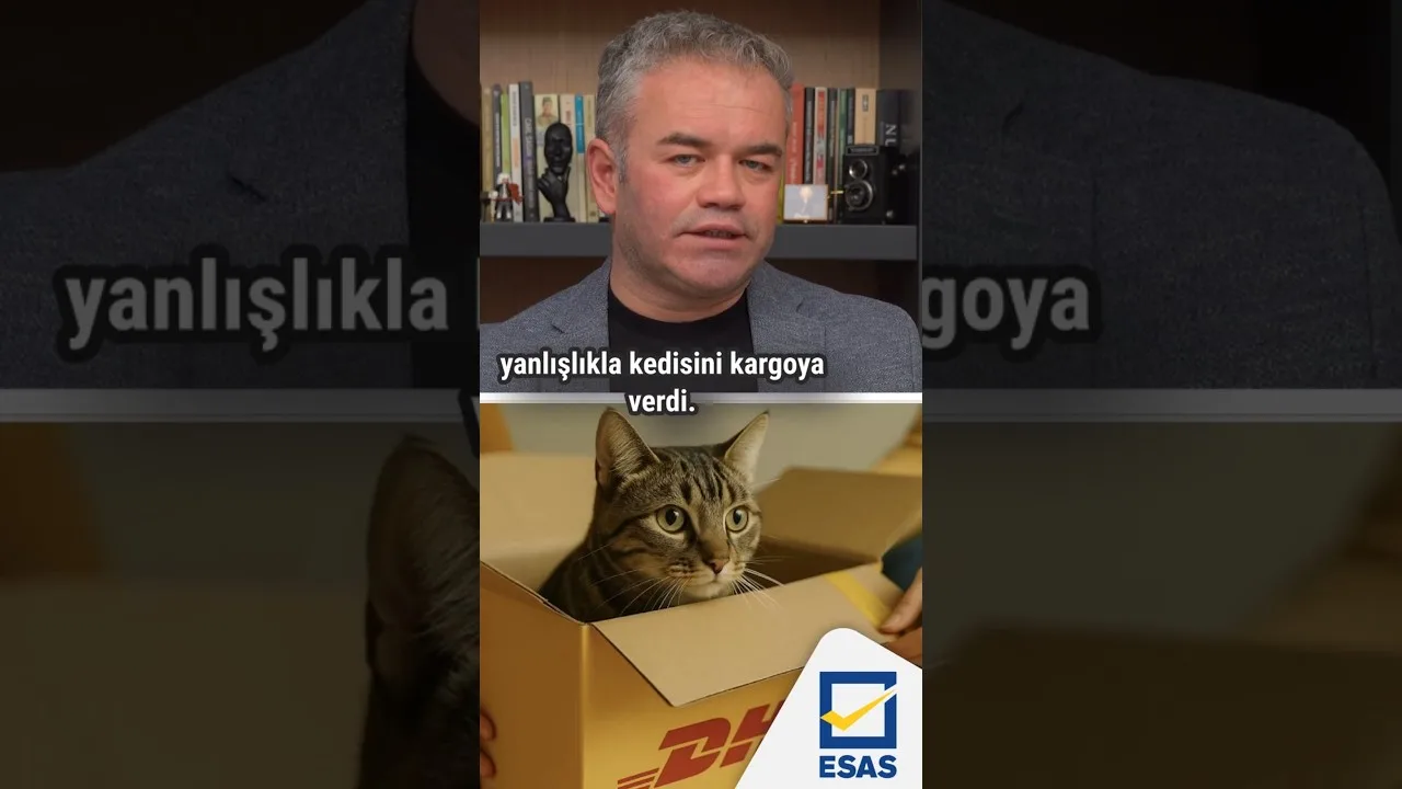 Yanlışlıkla kedisini kargoya veren kadın
