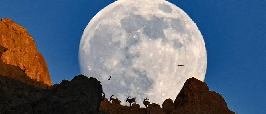 Antalya turizm temsilcileri ‘Yılın Kareleri’ oylamasına katıldı
