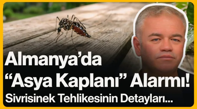 Almanya’da “Asya Kaplanı” Alarmı!