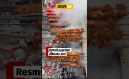 Almanya’da ormana gitmeden önce iki kere düşünün!